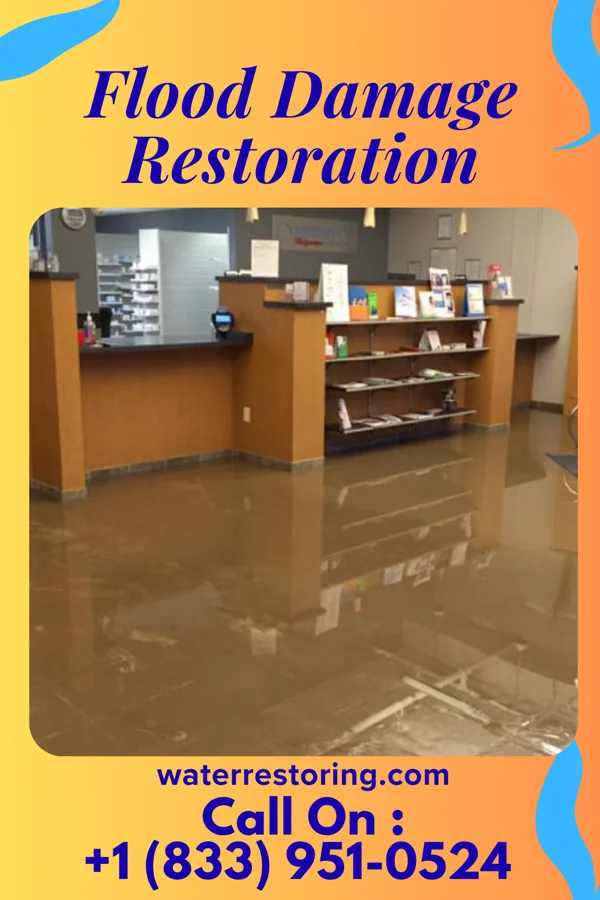 Flood Damage Restoration in Hartland, WI